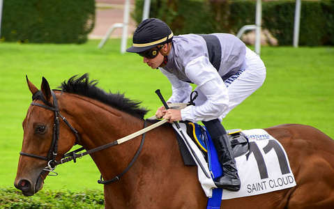 Actualités Hippiques